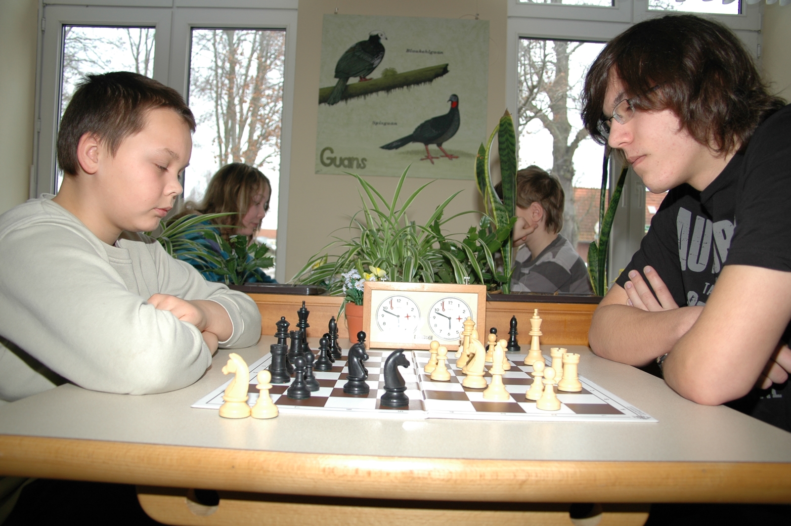 Vorschau